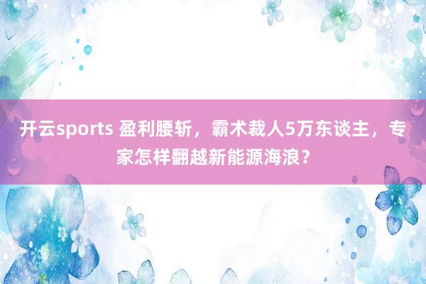 开云sports 盈利腰斩，霸术裁人5万东谈主，专家怎样翻越新能源海浪？