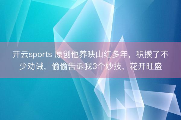 开云sports 原创他养映山红多年，积攒了不少劝诫，偷偷告诉我3个妙技，花开旺盛
