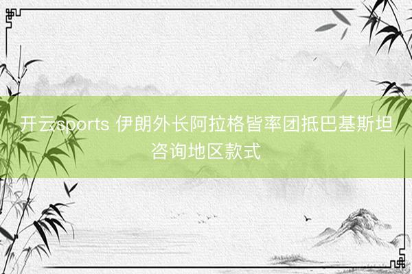 开云sports 伊朗外长阿拉格皆率团抵巴基斯坦咨询地区款式